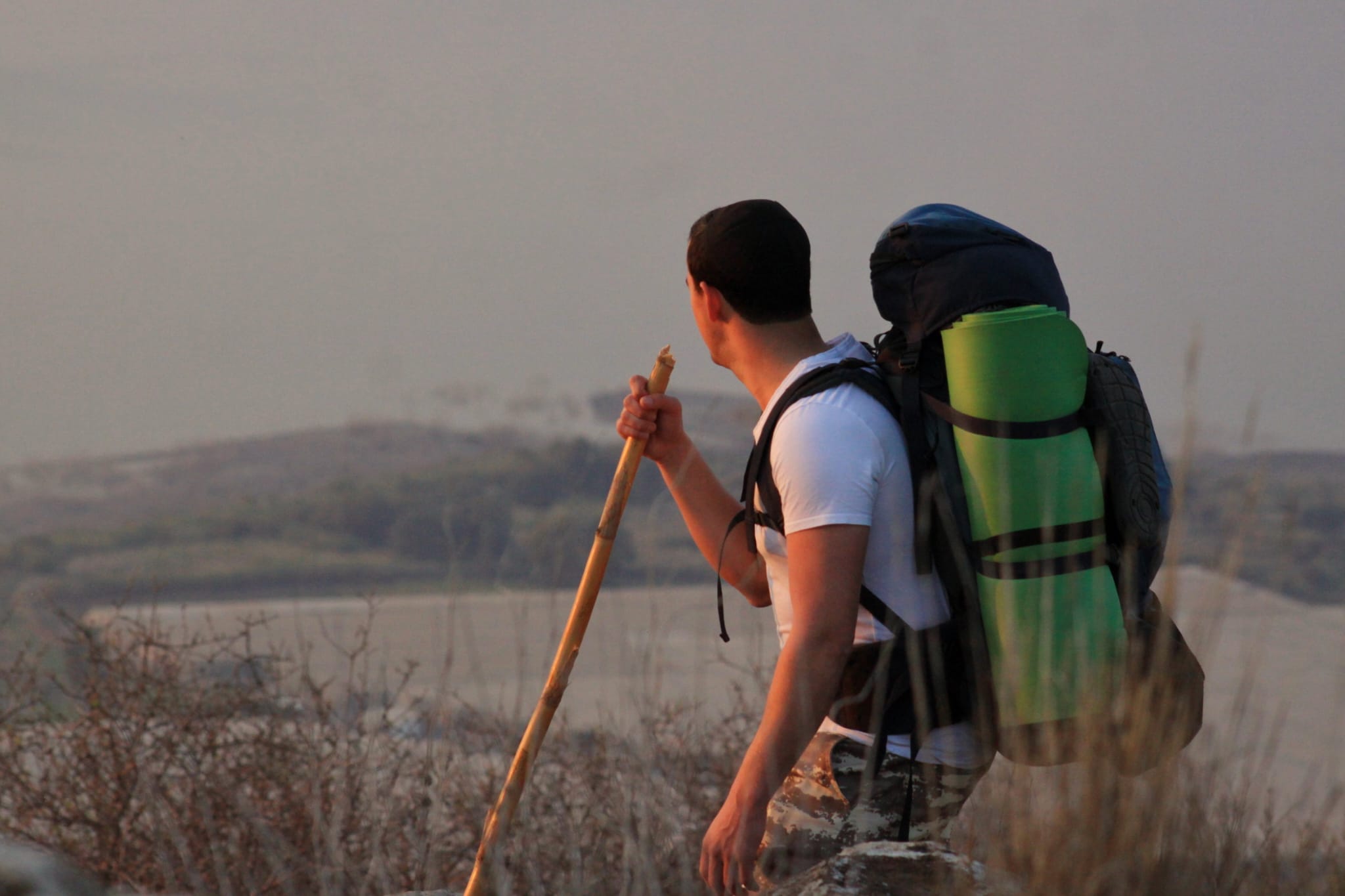 Person with a backpack and walking stick looking over a landscape