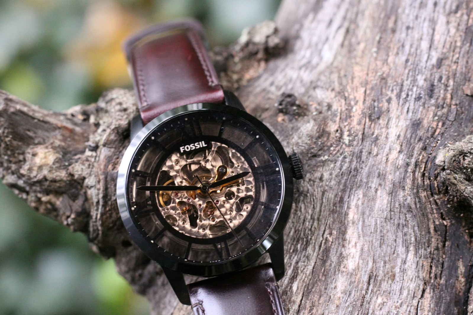 Skeleton-dial Fossil watch on a weathered tree branch